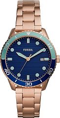 Fossil Dayle BQ3599 Наручные часы