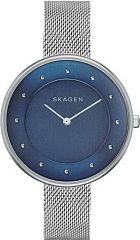 Женские часы Skagen Mesh SKW2293 Наручные часы