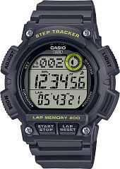 Casio Standard WS-2100H-8A Наручные часы