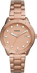 Fossil Dayle BQ3596 Наручные часы