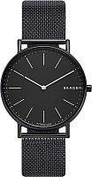 Мужские часы Skagen Signatur SKW6484 Наручные часы