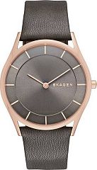 Женские часы Skagen LEATHER SKW2346 Наручные часы