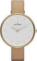 Женские часы Skagen LEATHER SKW2137 Наручные часы