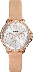 Fossil ES4888 Наручные часы