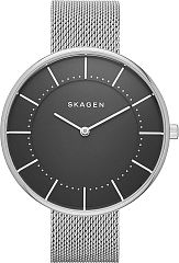 Женские часы Skagen Mesh SKW2561 Наручные часы