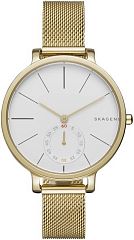 Женские часы Skagen Mesh SKW2436 Наручные часы