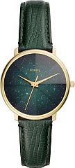 Женские часы Fossil Prismatic Galaxy ES4730 Наручные часы