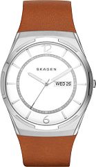 Мужские часы Skagen LEATHER SKW6304 Наручные часы
