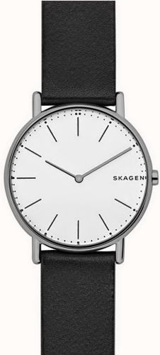 Фото часов Мужские часы Skagen Leather SKW6419