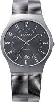 Мужские часы Skagen Mesh Titanium 233XLTTM Наручные часы