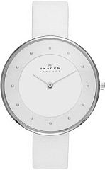 Женские часы Skagen LEATHER SKW2136 Наручные часы