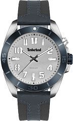 Timberland Warrick TDWGP2201603 Наручные часы