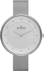 Женские часы Skagen Mesh SKW2140 Наручные часы