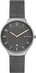 Мужские часы Skagen Mesh SKW6460 Наручные часы