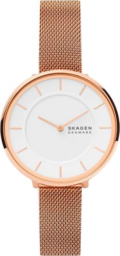 Фото часов Skagen Mesh SKW3013