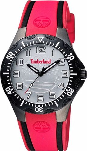 Фото часов Мужские часы Timberland Dixiville S TBL.14323MSUB/04
