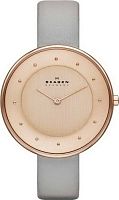 Женские часы Skagen LEATHER SKW2139 Наручные часы