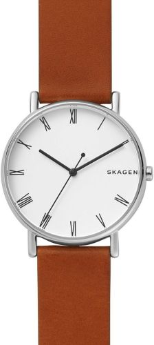 Фото часов Мужские часы Skagen Leather SKW6427