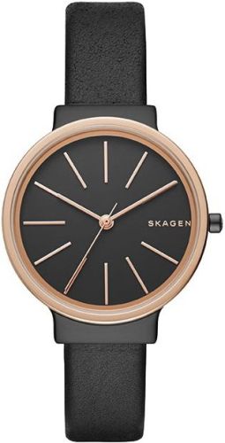 Фото часов Женские часы Skagen LEATHER SKW2480