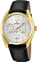 Мужские часы Festina Classic F16753/1 Наручные часы