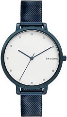 Женские часы Skagen Mesh SKW2579 Наручные часы