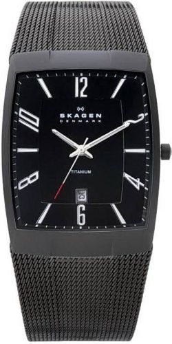 Фото часов Мужские часы Skagen Mesh Titanium 851LTBB