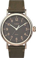 Мужские часы Timex Standard TW2U03900 Наручные часы