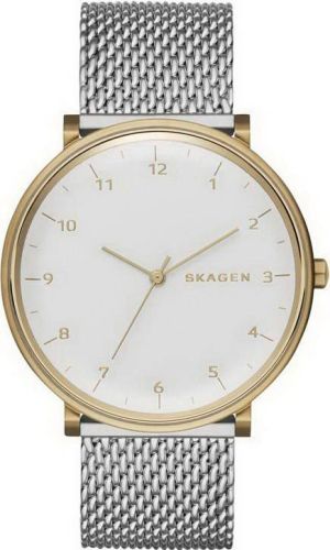 Фото часов Мужские часы Skagen Mesh SKW6170