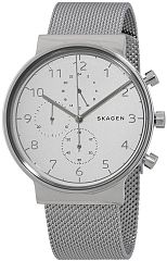 Мужские часы Skagen Mesh SKW6361 Наручные часы