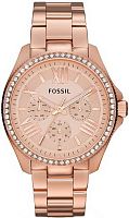 Fossil Multifunction AM4483 Наручные часы