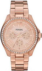 Женские часы Fossil Multifunction AM4483 Наручные часы