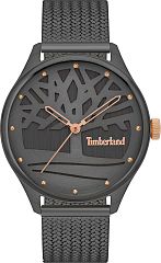 Timberland Lincolndale TDWLG2200301 Наручные часы