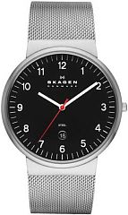 Мужские часы Skagen Mesh Classic SKW6051 Наручные часы