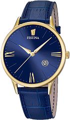 Мужские часы Festina Classic F16825/3 Наручные часы
