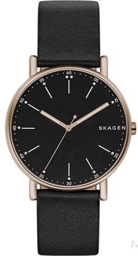 Фото часов Мужские часы Skagen Leather SKW6401