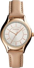 Fossil Daydreamer BQ1596IE Наручные часы
