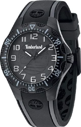 Фото часов Мужские часы Timberland Dixiville S TBL.14323MSB/02
