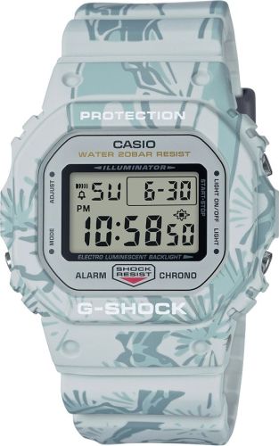 Фото часов Casio G-Shock DW-5600SLG-7