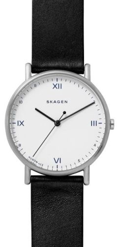 Фото часов Мужские часы Skagen Leather SKW6412