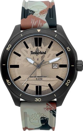 Фото часов Мужские часы Timberland Ashland TBL.15418JSB/12P
