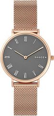 Женские часы Skagen Mesh SKW2675 Наручные часы