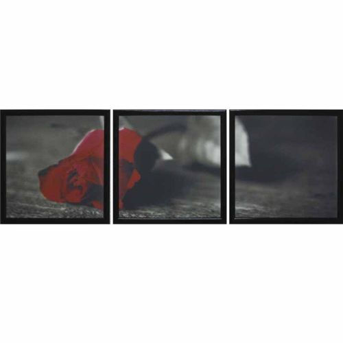 Фото часов Модульная картина Династия 06-022-02 Красная роза
            (Код: 06-022-02)