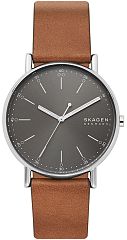 Мужские часы Skagen Signatur SKW6578 Наручные часы