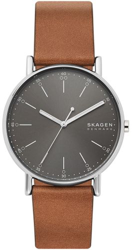Фото часов Мужские часы Skagen Signatur SKW6578