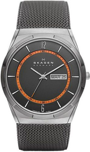 Фото часов Мужские часы Skagen Titanium SKW6007