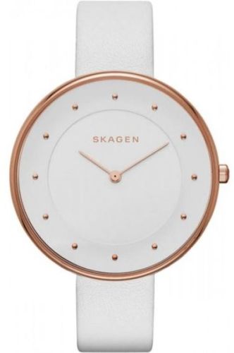 Фото часов Skagen SKW2291