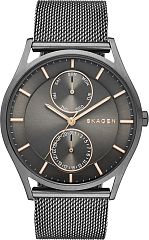 Мужские часы Skagen Mesh SKW6180 Наручные часы