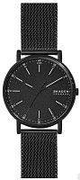 Мужские часы Skagen Signatur SKW6579 Наручные часы
