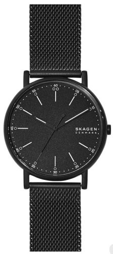 Фото часов Мужские часы Skagen Signatur SKW6579