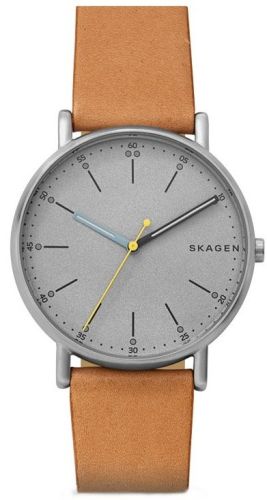 Фото часов Мужские часы Skagen Leather SKW6373